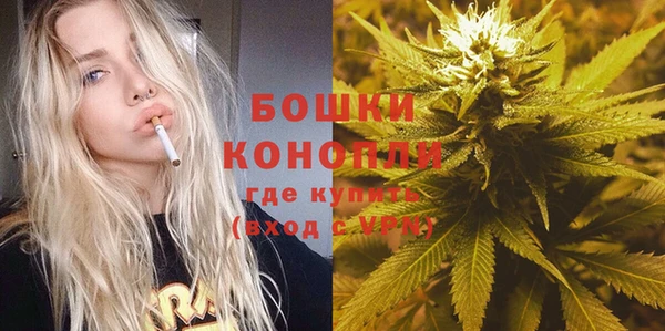 PSILOCYBIN Ладушкин