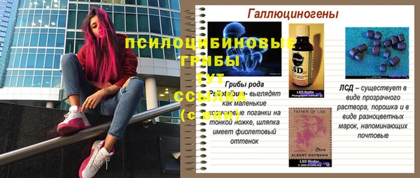 таблы Лабытнанги