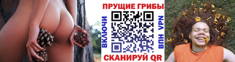 Псилоцибиновые грибы Magic Shrooms  гидра ONION  Полярный  купить наркотик 